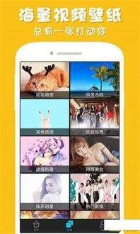 彩蛋爆料视频下载安装手机版,手机版下载安装全攻略 第2张 彩蛋爆料视频下载安装手机版,手机版下载安装全攻略 第2张